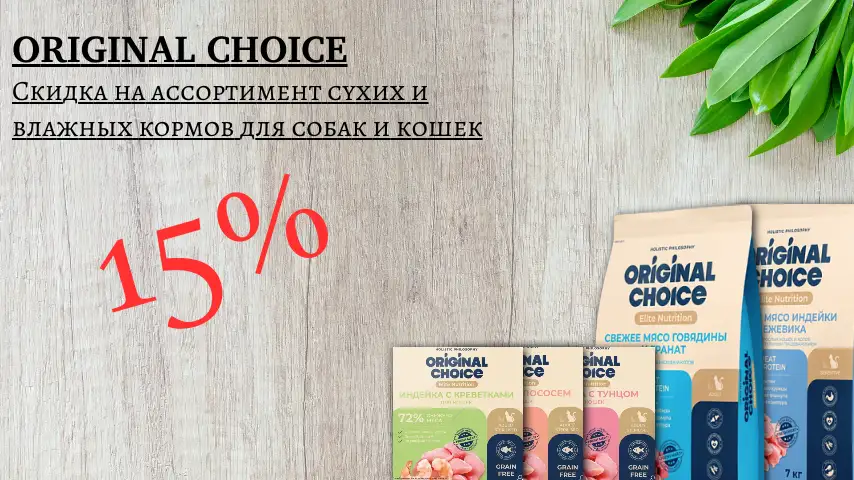 ORIGINAL CHOICE